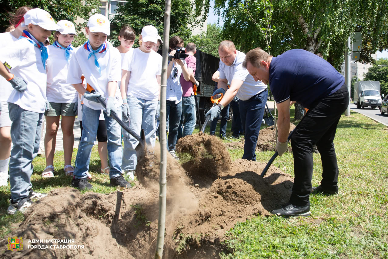 Больше пяти тысяч саженцев деревьев высадят в Ставрополе в 2025 году.