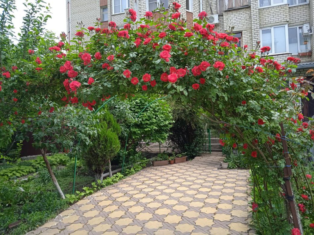 В Ставрополе стартует прием заявок на городской фестиваль цветников.
