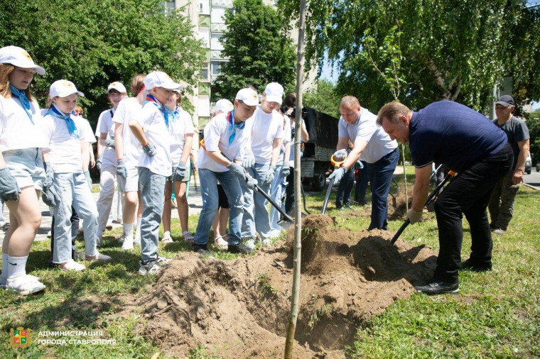 Около 50 лип и кленов высадили на проспекте Юности в Ставрополе. Около 50 лип и кленов высадили на проспекте Юности в Ставрополе.